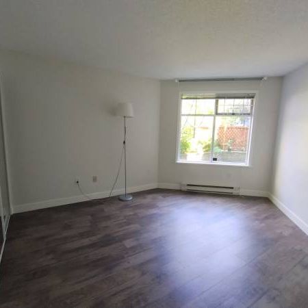 MODERN 1 BEDROOM SUITE AVAILABLE NOV 1ST AT LAUREL PLACE IN VANCOUVER! - Photo 1