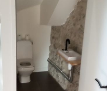 YENNE APPARTEMENT DUPLEX TYPE 3 - Photo 6