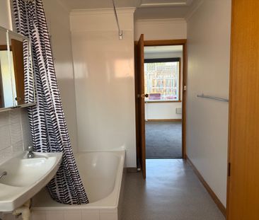 Freshly Updated & Ready to Impress - Photo 5