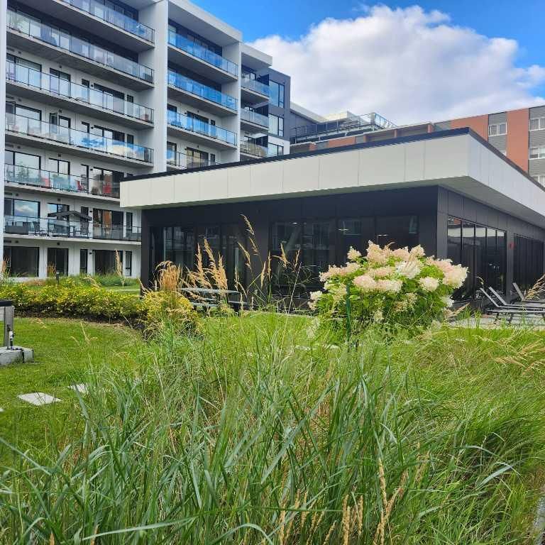 Cession de bail a court term , mais renouvelable. disponible des maintenant pour entrer. - Photo 1