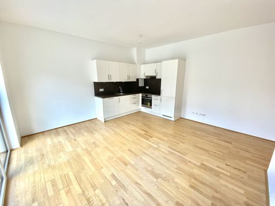 16 m² Terrasse: 2 Zimmer Wohnung in absoluter Ruhelage nahe Strebersdorf in 1210 Wien zu mieten - Photo 1