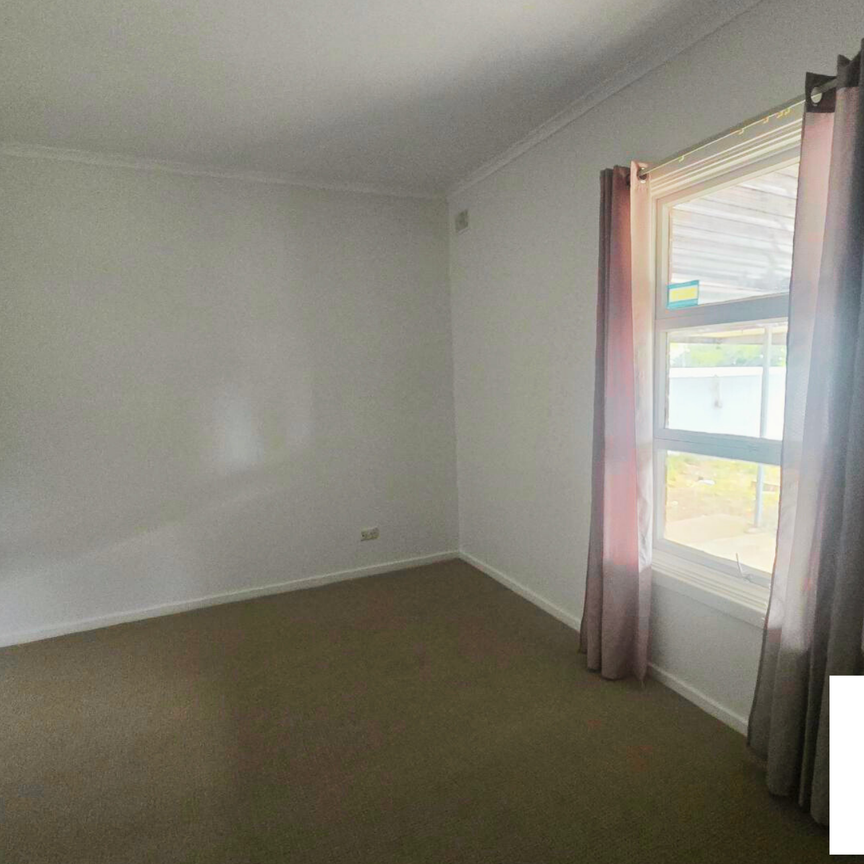 Freshly Painted with a shed! - Photo 1