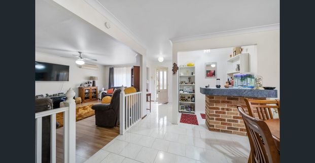 run to paradise - Photo 1