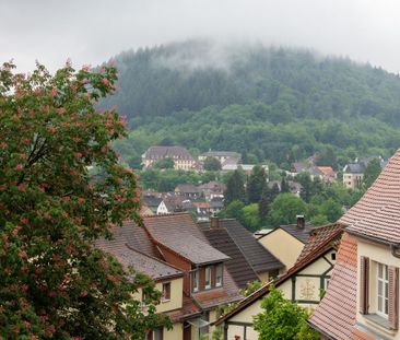 Wohnung Neckargemünd - 2-Zimmer-Dachgeschoss mit wunderschönem Ausb... - Photo 6