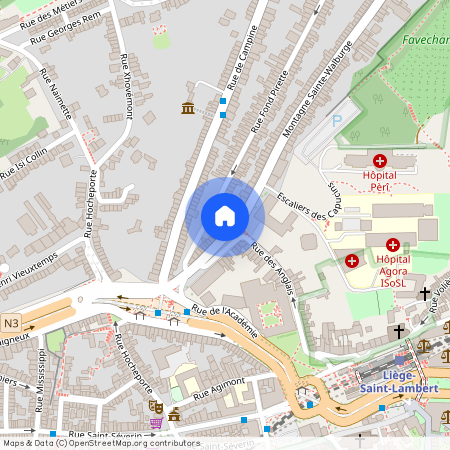 Montagne Sainte-Walburge 27, 11, 4000 Liège (Remis à neuf)