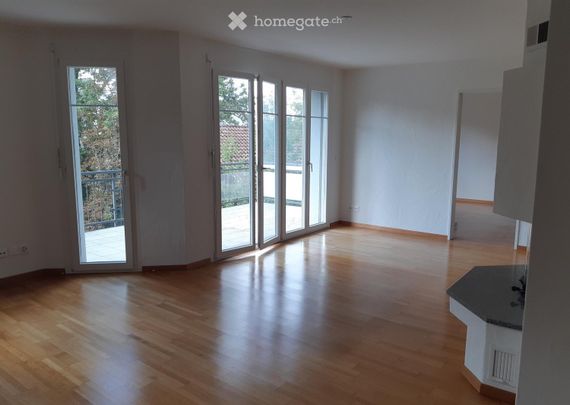 Schöne und ruhige 2 1/2-Zimmer Wohnung im Zentrum von Uster - mit Blick auf Aabach und Schloss - Photo 1
