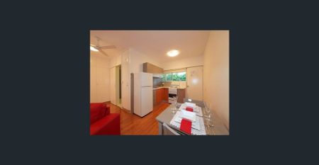 Air Conditioned Furnished One Bedroom Unit - Photo 4