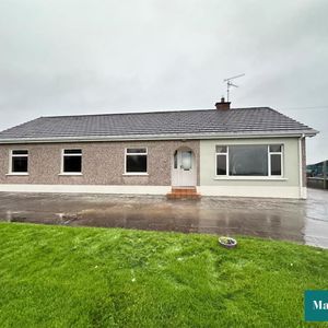 98 Ballygittle Road - Photo 3