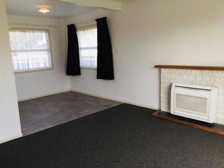 Birkenhead Crescent, Flaxmere - Photo 4