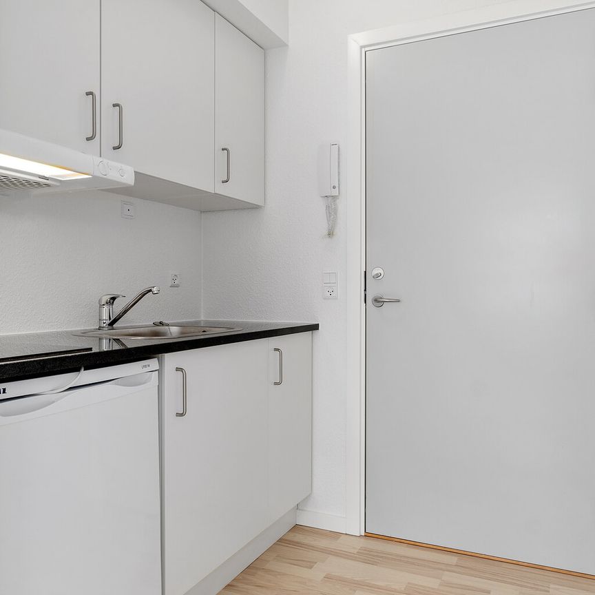 Skøn og lys lejlighed Viborgs hjerte - Photo 1