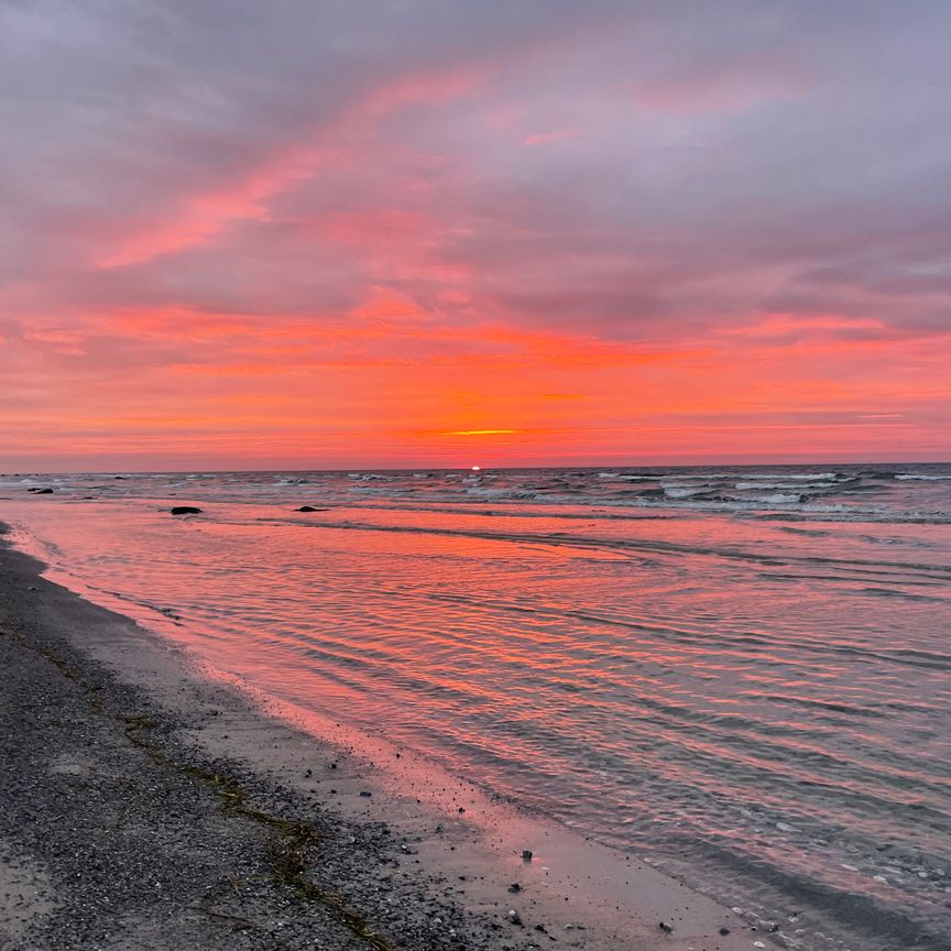 Gråhundsvägen, Trelleborg - Photo 1