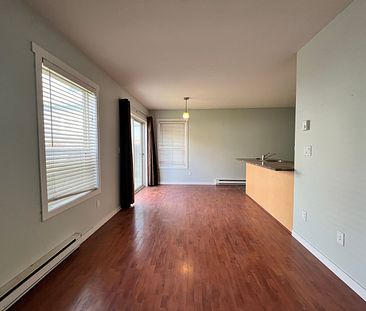 Updated 3 Bedroom Home in Brewery District - Photo 4