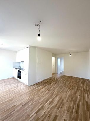 Erstbezug 2.5-Zimmer mit eigener WM/TU, grossem Balkon und Kellerabteil - Photo 1