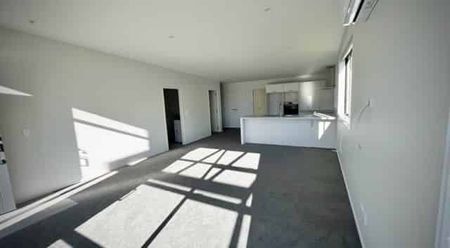 NEAR NEW LARGE AND LIGHT - Photo 4