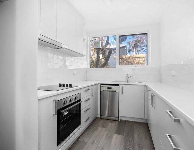 RENOVATED | LIGHT FILLED | IDEALLY LOCATED - Photo 1