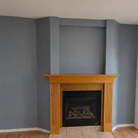 appartment a louer st catherine - Photo 3