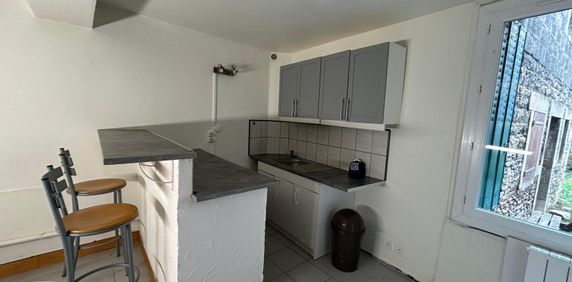 Location Appartement 1 pièce 41m² ST LAURENT SUR SAONE 01750 - Photo 2