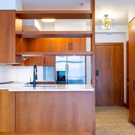 Superbe penthouse de 1000 pc sur 2 étages au coeur du Plateau Mont-Royal - Photo 4