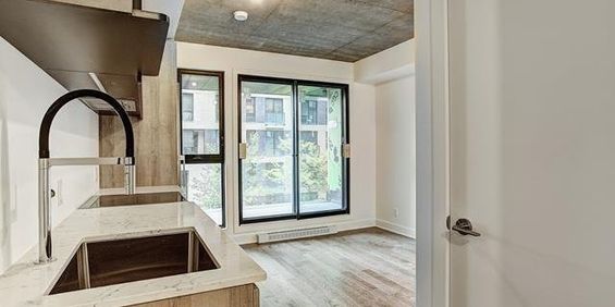 Appartement Montréal (Le Sud-Ouest) � Louer - Photo 3
