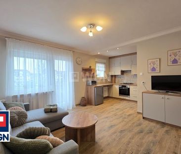 Apartament na wynajem Zielona Góra - Photo 4