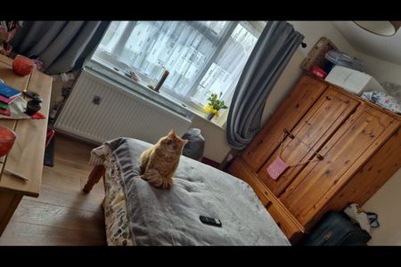 Room in a Shared House, Westminster Ave, CR7 - Photo 5