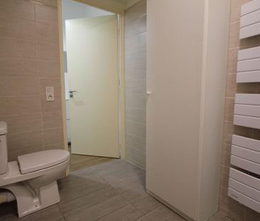 Location Appartement 1 pièce 28m² LE PLESSIS ROBINSON 92350 - Photo 2