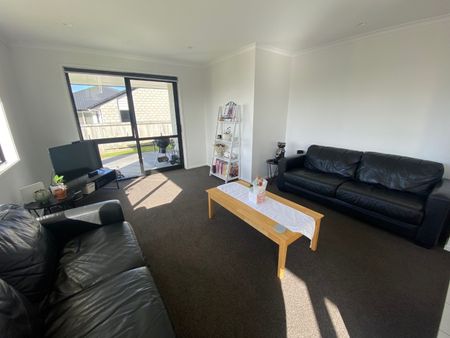 41 Bert Wall Drive, Omokoroa - Photo 4