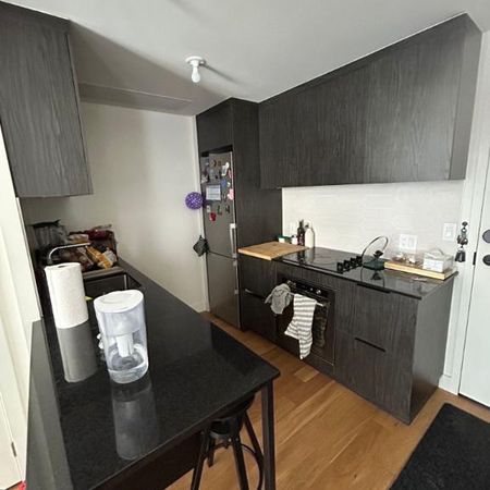 Reprise de bail superbe 4½ avec balcon – 1er décembre / 22 Janvier 2026 (possibilité de prolonger) - Photo 3