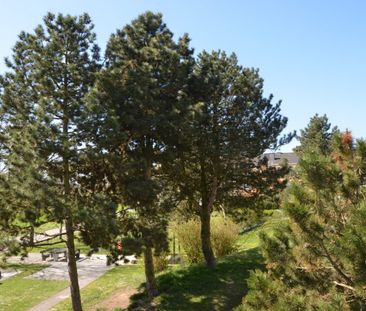 Singlewohnung in ruhiger Lage im 3. Stock **fix zugeordneter PKW Ab... - Photo 4