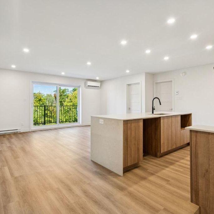 5 1/2 sur la rue Henderson, Huntingdon - Photo 1