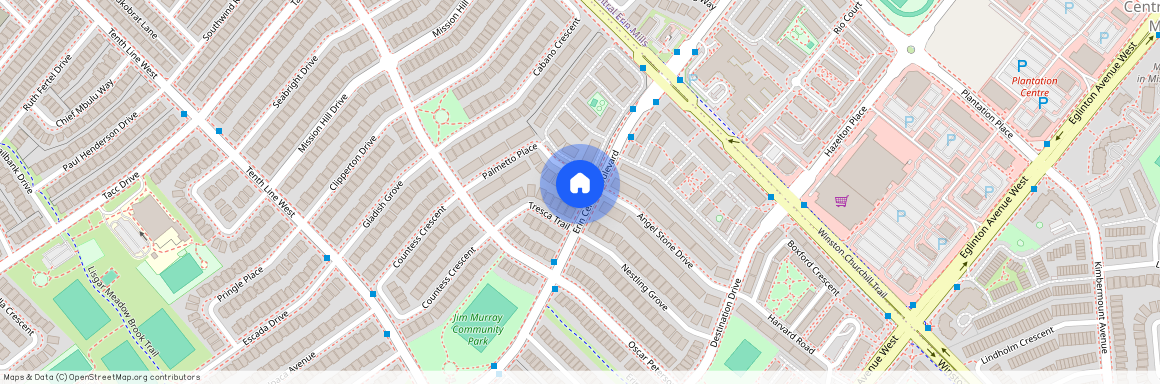 5218 Palmetto Place Unit# Basement, Mississauga