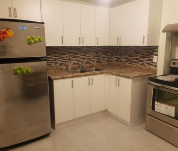 For Lease - 173 Dean Park Road Unit# LOWER, Toronto, Ontario - Photo 2