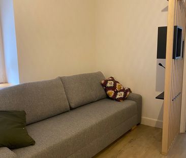 Location Appartement 1 pièce 17m² BRIGNAIS 69530 - Photo 2