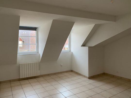Location Appartement 2 pièces 57m² ALTKIRCH 68130 - Photo 1