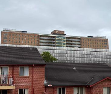 Camperdown - Photo 5