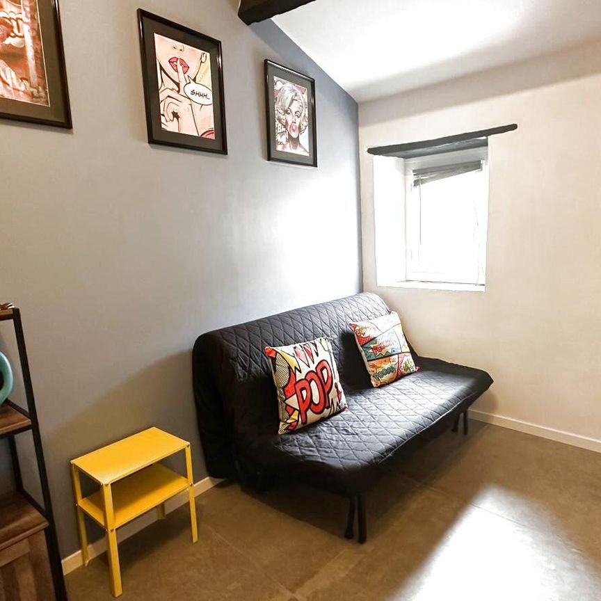 Location Appartement 1 pièce 12m² VILLENEUVE LES AVIGNON 30400 - Photo 1