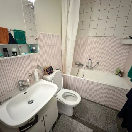 Appartement de 2 pièces rafraîchi au centre ville - Foto 3