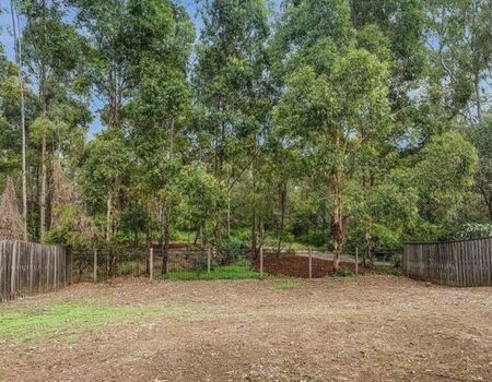 Redbank Plains - Photo 2