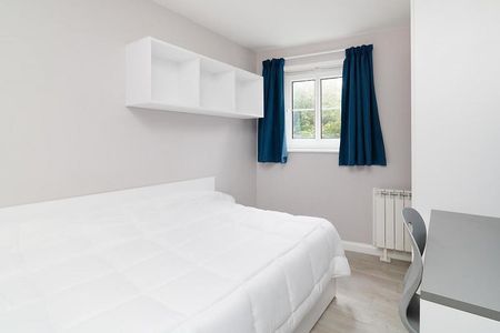 4 bedroom apartment to rent - Photo 4