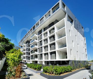 288 Burns Bay Road, Lane Cove NSW 2066 - Apartment For Rent | Domain - Photo 6