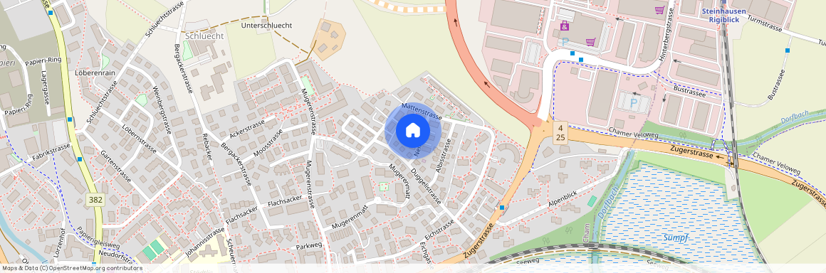 Nelkenweg 3, 6330, Cham