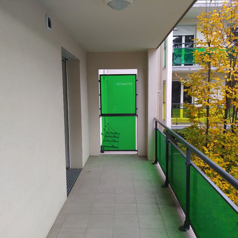 Appartement - 2 pièces - Jardin Lecoq/Facultés - Photo 1