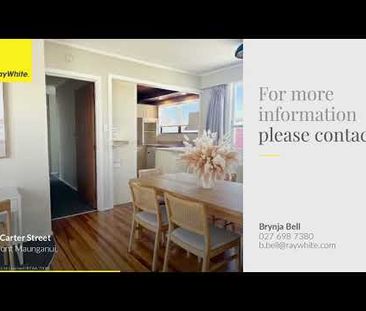 Renovated at the Mount! - Photo 2