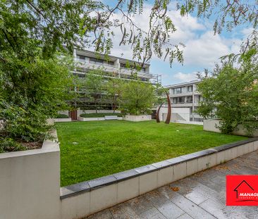 8/20 Eyre Street, Kingston ACT 2604 - Apartment For Rent | Domain - Photo 5