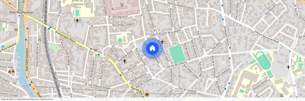 TOULOUSE - COTE PAVEE