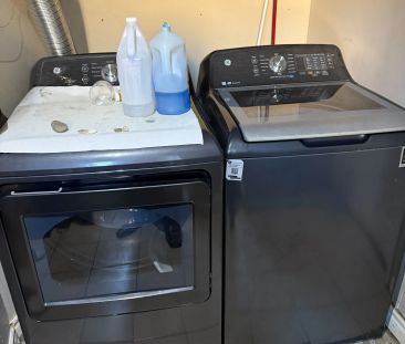 7147 Harwick Drive #bsmt - Photo 4