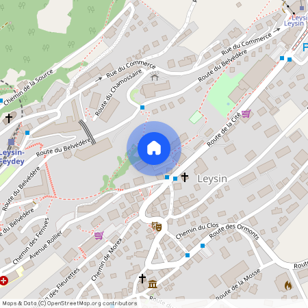 Rue de la Cité 15, 1854 Leysin