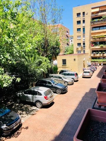 Calle Ciudad de Ronda, Sevilla, Andalusia 41004 - Photo 3