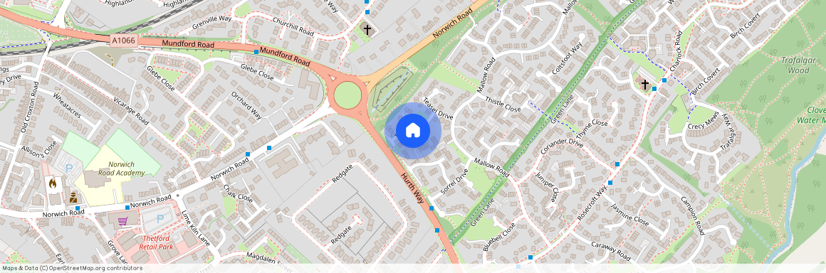 Teasel Drive, Thetford, IP24
