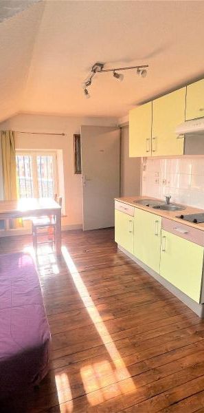 Location Appartement 1 pièce 17m² CLERMONT FERRAND 63000 - Photo 1